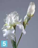 Искусственный цветок для декора Ирис белый TREEZ Collection в #REGION_NAME_DECLINE_PP#