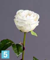 Искусственный цветок для декора Роза Джема белая ваниль TREEZ Collection в #REGION_NAME_DECLINE_PP#