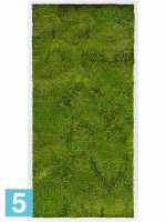 Картина из искусственного мха сатин блеск 100% плоский мох светлый фон l-120 w-60 h-6 см