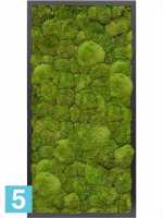 Картина из искусственного мха сатин блеск 100% шаровый мох l-80 w-40 h-6 см в #REGION_NAME_DECLINE_PP#