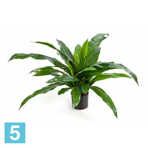 Асплениум куст Гигант в кашпо искусственный TREEZ Collection 80h
