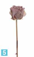 Искусственный цветок для декора Роза "Ретро романс" 58h шампань (бутон) в #REGION_NAME_DECLINE_PP#