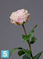 Роза Английская Большая нежно-крем-розовая искусственная TREEZ Collection 66h в Москве