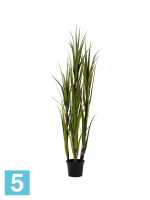 Искусственная трава высокая Сахарный тростник 150h в #REGION_NAME_DECLINE_PP#