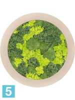 Картина из искусственного мха polystone natu 30% шаровый мох 70% олений мох (микс) d-80 h-5 см в Москве