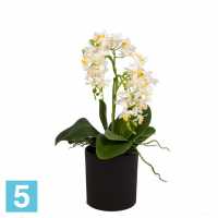 Орхидея искусственная Alseed, белая, h-26 см. в интерьерном кашпо, d-15 см. в #REGION_NAME_DECLINE_PP#