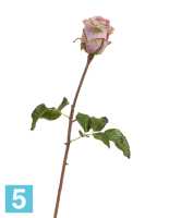 Искусственный цветок для декора Роза Аква пудрово-сиреневая с лаймом TREEZ Collection в #REGION_NAME_DECLINE_PP#