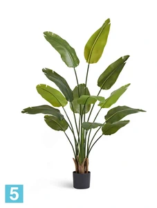 Искуственная стрелиция New Style с UV-защитой (Sensitive Botanic) TREEZ Collection 160h