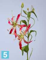 Искусственный цветок для декора Глориоза розово-бордо 60 см 2 цв TREEZ Collection в #REGION_NAME_DECLINE_PP#