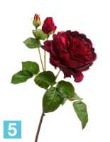 Искусственный цветок для декора Роза Дэвид Остин Роял ветвь бордово-красная TREEZ Collection в #REGION_NAME_DECLINE_PP#