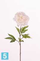 Искусственный цветок для декора Пион "BRITT" Sensitive Botanic d-18 см, 4 листа, 80h, цвет крем в #REGION_NAME_DECLINE_PP#
