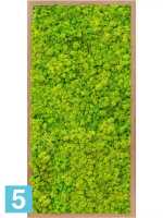 Картина из искусственного мха бамбук 100% олений мох (весенний зеленый) l-80 w-40 h-6 см в Москве