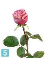Искусственный цветок для декора Роза Эсперанса Мидл сиренево-розовая с зел.каймой TREEZ Collection в Москве