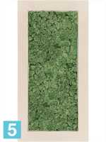 Картина из искусственного мха polystone натуральный 100% олений мох (мох зеленый) l-100 w-50 h-5 см в Москве