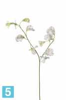 Искусственный цветок для декора Латурус 50h бело-зеленый (2 ветки + горошек) в #REGION_NAME_DECLINE_PP#