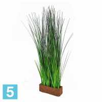 Трава осока разноуровневая в кокосовом боксе искусственная Alseed, 25*8*8