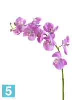 Искусственный цветок для декора Орхидея Фаленопсис Мидл розово-белая TREEZ Collection