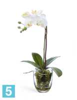 Композиция из искусственных цветов Орхидея Фаленопсис белая с мхом, корнями, землей 40h TREEZ Collection