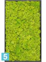 Картина из искусственного мха сатин блеск 100% олений мох (весенний зеленый) темный фон l-100 w-60 h-6 см в Москве