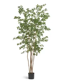 Олива искусственная лесная чёрная Ориентал TREEZ Collection 210h