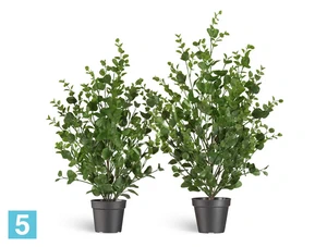Искусственный Эвкалипт TREEZ Collection зеленый куст 13h