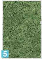 Картина из искусственного мха алюминий 100% олений мох (мох зеленый) l-120 w-80 h-6 см