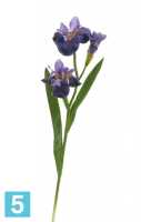 Искусственный цветок для декора Ирис Сиберика темно-сиреневый 2цв,1бут TREEZ Collection в #REGION_NAME_DECLINE_PP#