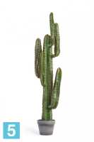 Кактус Цереус искусственный Мексиканский 117h TREEZ Collection в #REGION_NAME_DECLINE_PP#
