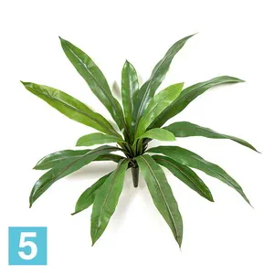 Асплениум узколистный искусственный TREEZ Collection 30h