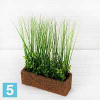 Осока с самшитом искусственная Alseed, h-30 см. в кокосовом боксе, 25х8х8