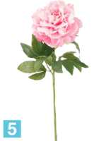 Пион ветвь розовая искусственный h-65 см в #REGION_NAME_DECLINE_PP#