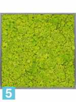 Картина из искусственного мха атласный блеск 100% олений мох (весенний зеленый) серый фон l-100 w-100 h-6 см
