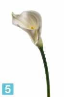 Искусственный цветок для декора Калла 65h белая в #REGION_NAME_DECLINE_PP#