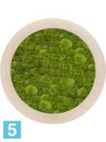 Картина из искусственного мха polystone natu 100% шаровый мох d-40 h-5 см в Москве
