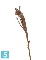 Искусственная ветка Салекса коричневая TREEZ Collection в #REGION_NAME_DECLINE_PP#