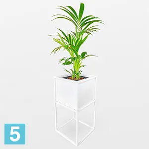 Кашпо КУБО ДЕ МАДЕРА 33-l, 33-w, 65-h, белое