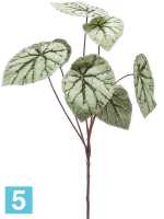 Бегония ветвь с серыми листьями искусственная w-40 h-60 см в #REGION_NAME_DECLINE_PP#
