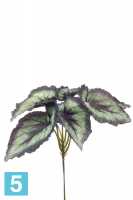 Искусственный цветок для декора Бегония 25dx23h зеленая с серыми краями (7 листов) в #REGION_NAME_DECLINE_PP#