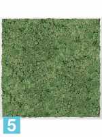 Картина из искусственного мха алюминий 100% олений мох (мох зеленый) l-100 w-100 h-6 см