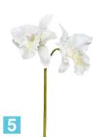 Искусственный цветок для декора Орхидея Каттлея крупная белая 42 см 2цв TREEZ Collection в Москве