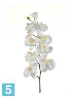 Искусственный цветок для декора цветы орхидеи Фаленопсис DELUXE h100 см кремовый (9 цветков) в #REGION_NAME_DECLINE_PP#