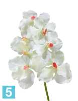 Искусственный цветок для декора Орхидея Ванда белая с роз. сердцевинкой TREEZ Collection
