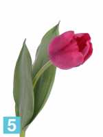 Искусственный букет из тюльпанов Sensitive Botanic темно-розовые 3 шт. 48h см