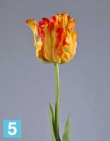 Искусственный цветок для декора Тюльпан Попугай желто-оранж TREEZ Collection в Москве