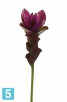 Искусственный цветок для декора Куркума 60h фиолетовый в #REGION_NAME_DECLINE_PP#
