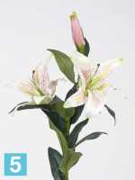 Искусственный цветок для декора Лилия Кассабланка Sensitive Botanic, бело-розовая (2 цветка + 1 бутон) h95 см