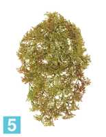 Искусственный Ватер-грасс (Рясковый мох) куст светло-коричнево-зеленый TREEZ Collection в #REGION_NAME_DECLINE_PP#
