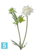 Искусственный цветок для декора Скабиоза белая 68 см 1цв 2бут TREEZ Collection в Москве
