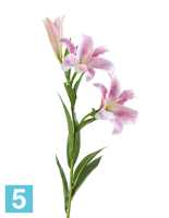 Искусственный цветок для декора Лилия Донателло ветвь нежно-розовая с белым TREEZ Collection