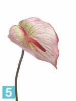 Искусственный цветок для декора Антуриум 13dx78h розовый (срезка) в #REGION_NAME_DECLINE_PP#